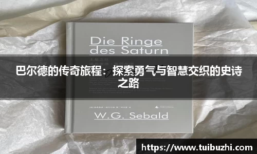 ng体育平台