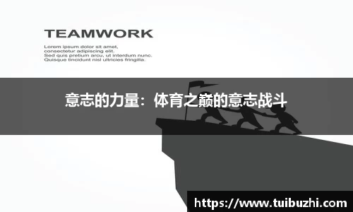 ng体育官方网站