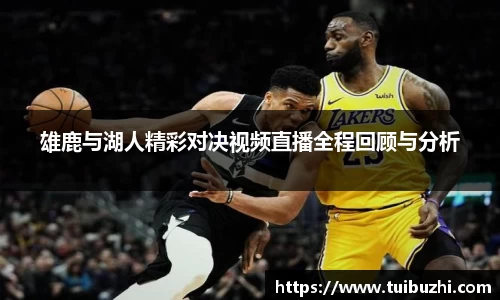 雄鹿与湖人精彩对决视频直播全程回顾与分析